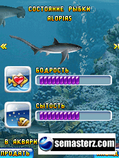 Аквасим 2: Акулье логово - Java игра