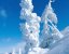 Winter Snow - Тема для SonyEricsson k750i,w810i,w800i,k ...