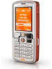 Sony Ericsson W800i