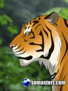 Темы с тиграми