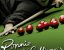 3D Ronnie O'Sullivans Snooker 2008